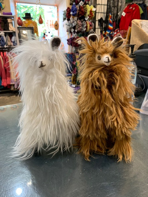 Two long-fleeced suri alpacas, one white and one brown, standing on the shop floor